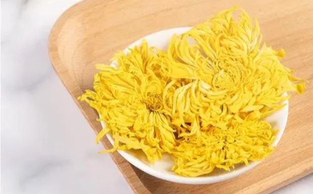 金丝皇菊有什么功效与作用