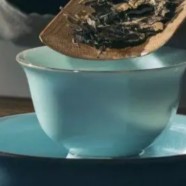 寿眉白茶的冲泡方法