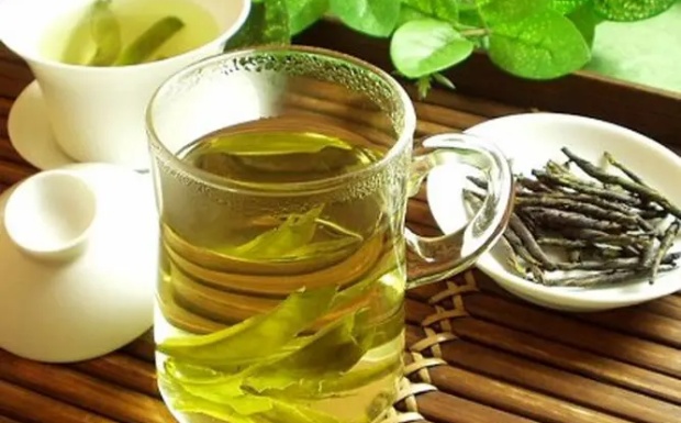 苦丁茶是什么做的.jpg 苦丁茶是什么做的.jpg
