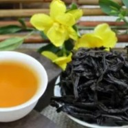 什么是水仙茶叶
