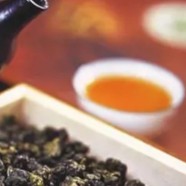 台湾高山茶与铁观音的区别