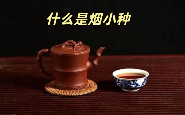 什么是烟小种.jpg