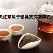 政和工夫红茶属于哪类茶