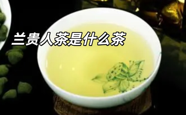 兰贵人茶是什么茶.jpg 兰贵人茶是什么茶.jpg