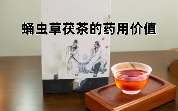 蛹虫草茯茶的药用价值.jpg 蛹虫草茯茶的药用价值.jpg