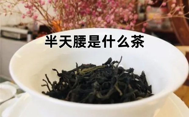 半天腰是什么茶.jpg 半天腰是什么茶.jpg