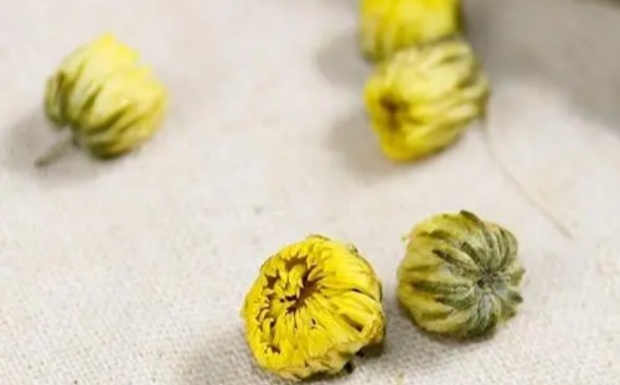 什么是胎菊.jpg 什么是胎菊.jpg