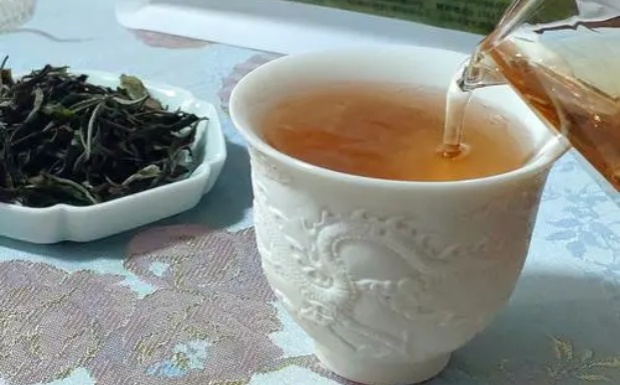 什么是信阳白茶.jpg