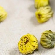 什么是胎菊