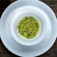 品鉴远安黄茶有什么特别的讲究