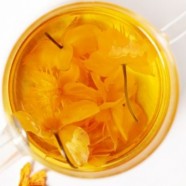 金莲花茶泡水喝有什么好处