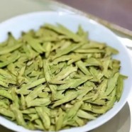 乌牛早茶是什么品种