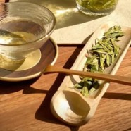 什么是越乡龙井