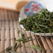 什么是宁波白茶