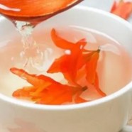 什么是百合花茶