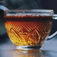 老白茶是从什么时候开始有的