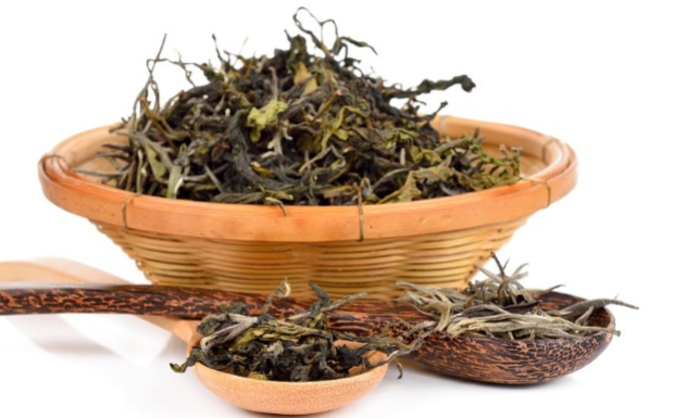 什么是莓茶