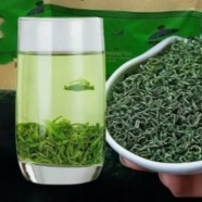 遵义毛峰茶是什么茶