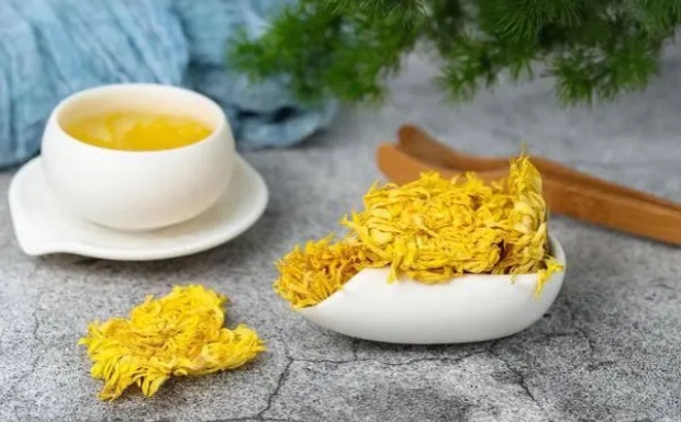 胎菊和黄金菊哪个好