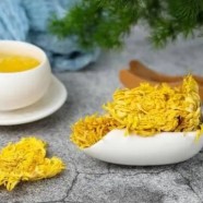 胎菊和黄金菊哪个好