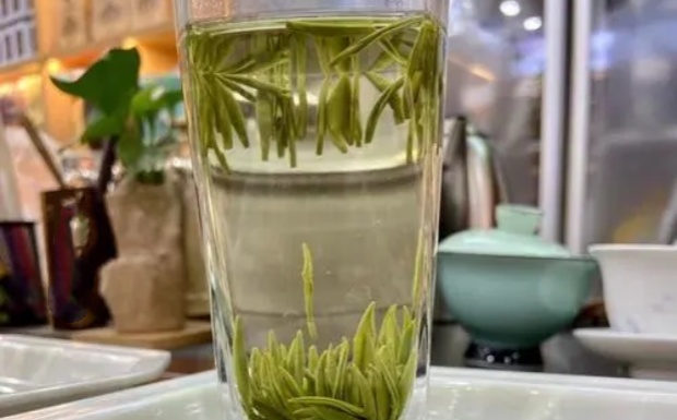 竹叶茶有哪些.jpg 竹叶茶有哪些.jpg