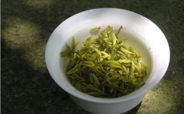 莫干山黄芽是什么茶.jpg