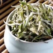 白牡丹是什么茶