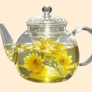 菊花茶属于哪一类茶