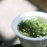 金山时雨是哪里生产