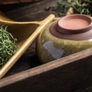 覃塘毛尖茶是什么茶