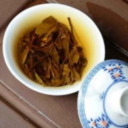老白茶是什么茶