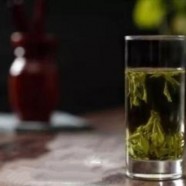 什么是商南泉茗