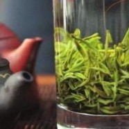 什么是凌云白毫茶