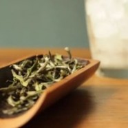 为什么说白毫银针是白茶中的珍品