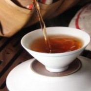 普洱茶是什么茶