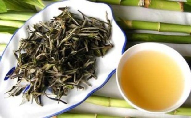 松溪小白茶的产地有哪些