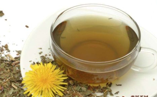 蒲公英茶是管什么的