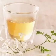 远安黄茶是黄茶吗