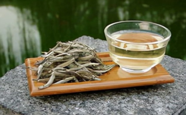 白鸡冠茶的冲泡方法