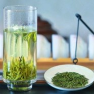 金山翠芽茶叶价格多少