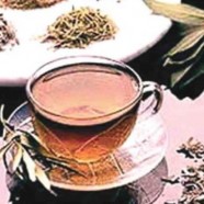 四川边茶分为哪几种