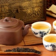 台湾高山茶是什么品种的茶