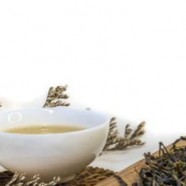 什么是英德绿茶