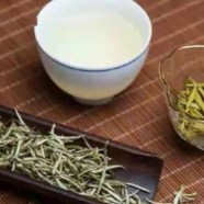 踏雪兰妃茶叶多少钱一斤
