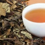 建阳白茶好在哪里