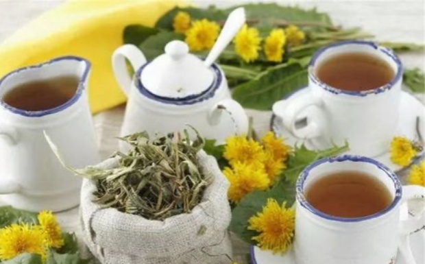 蒲公英茶都有哪些功效