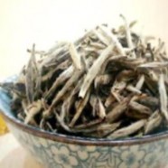 白毫银针为啥具备收藏价值
