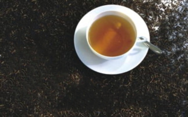 信阳红茶的特点是什么