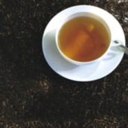 信阳红茶的特点是什么