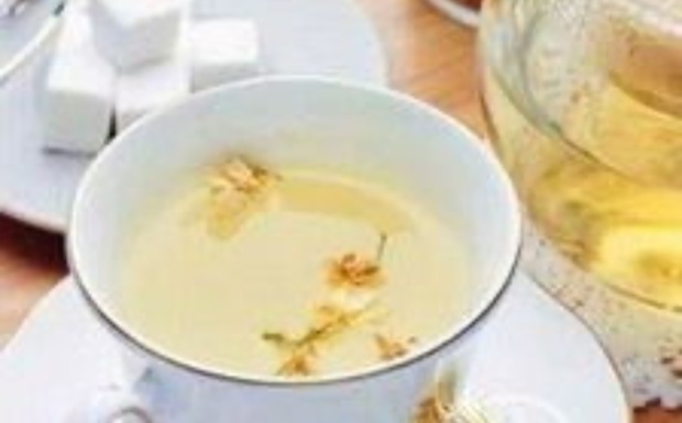 什么是珠兰花茶